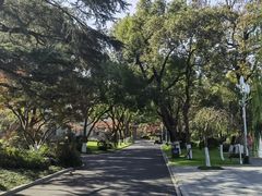 -浙江西子宾馆·瑶园咖啡厅