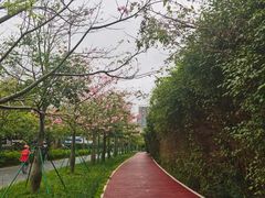 -万绿园