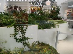 -大树餐厅(红旗街万达店)