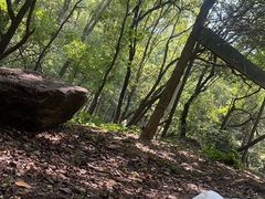 -吉林市朱雀山国家森林公园