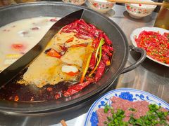 -朱光玉火锅馆(正弘城店)