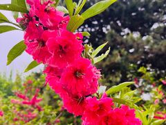 -朝阳公园