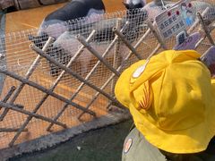 -HERRE·FARM 赫尔露营农场·团建聚会包场