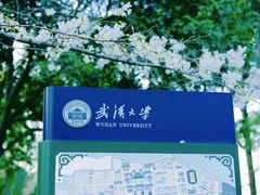 -武汉大学-樱园