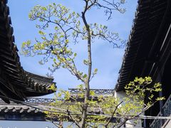 -何园