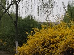 -南翠屏公园