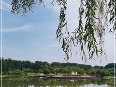 -东郊湿地公园