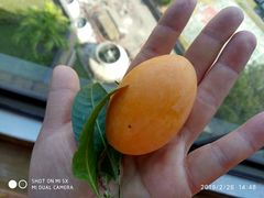 -瓦洛洛传统市场