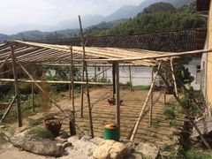 -杨家堂村