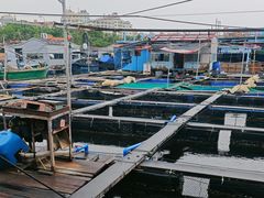 -蓝湾碧波·老字号·疍家非遗海上餐厅