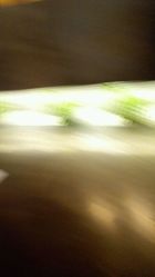 -SOULMAGIC 造型烫发染发