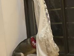 -Husky Go! 哈士奇体验馆·宠物咖啡厅狗咖