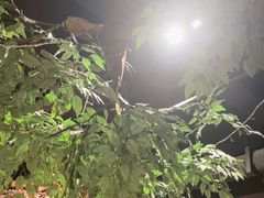 -城墙拐拐火锅(三峡广场黑金冠店)