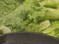 生菜-煲铺(浙江商城店)
