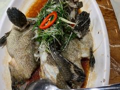 -桂哥海鲜城