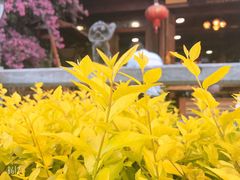-滇藏石锅宴(崇仁巷老店)