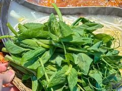 -阳阳老火锅(小南门店)