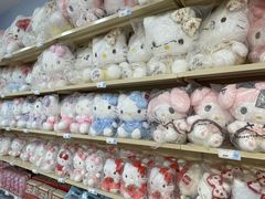 -鹏佳腾学生文创