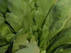 -唇辣号重庆老火锅(燕郊鑫乐汇店)