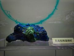 -广西壮族自治区博物馆