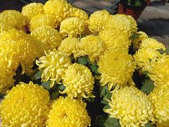 -天怡·鱼工厂(梅溪湖店)