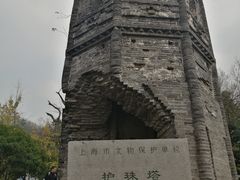 -上海佘山国家森林公园天马山园