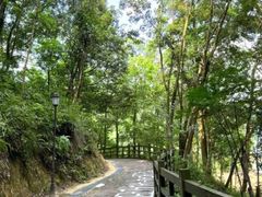 -广州市流溪河国家森林公园