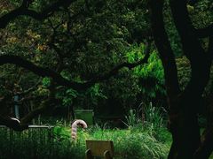 -荔香公园