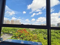 -湛江民大喜来登酒店-采悦轩中餐厅