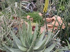 -国家植物园南园