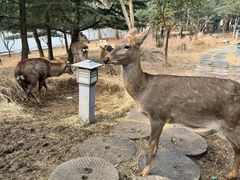 -观唐（国际）度假村温泉