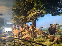 -国家自然博物馆