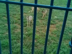 -鄂尔多斯野生动物园