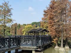 -海珠湖公园