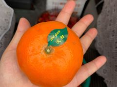 -南京众彩农副产品配送有限公司