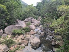 -海南热带雨林国家公园吊罗山景区