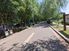 -丁香湖公园