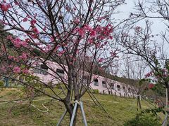 -小南山公园