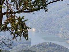 -广州市帽峰山景区