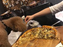 -百好乐宠物友好餐厅(朝外大街店)