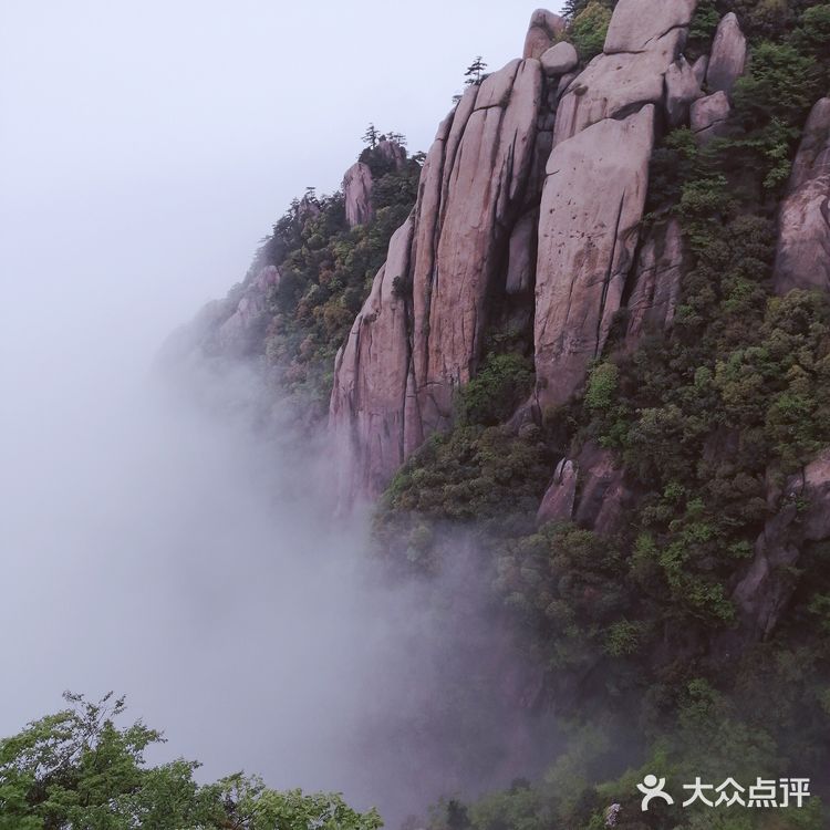 人间四月芳菲尽 花台杜鹃始盛开