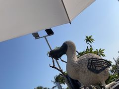 -三亚亚龙湾美高梅度假酒店Fun动冲浪
