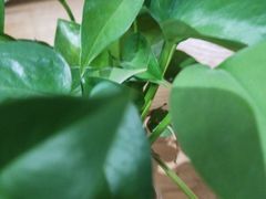 -盒马鲜生(富田新天地店)