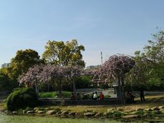 -蠡湖大桥公园