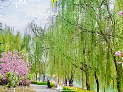 -西安汉城湖景区