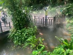 -呀诺达热带雨林