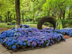 -上海鲜花港