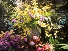 -春暖花开(西溪店)