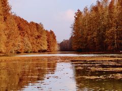 -上海海湾国家森林公园