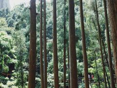 -雁荡山风景名胜区